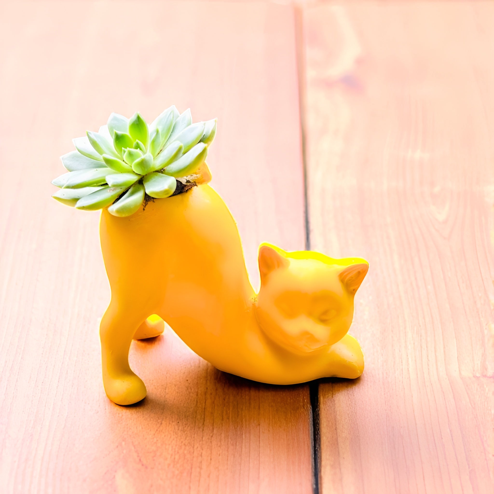 Purrfect Quirky Yellow Tail Cat Planter