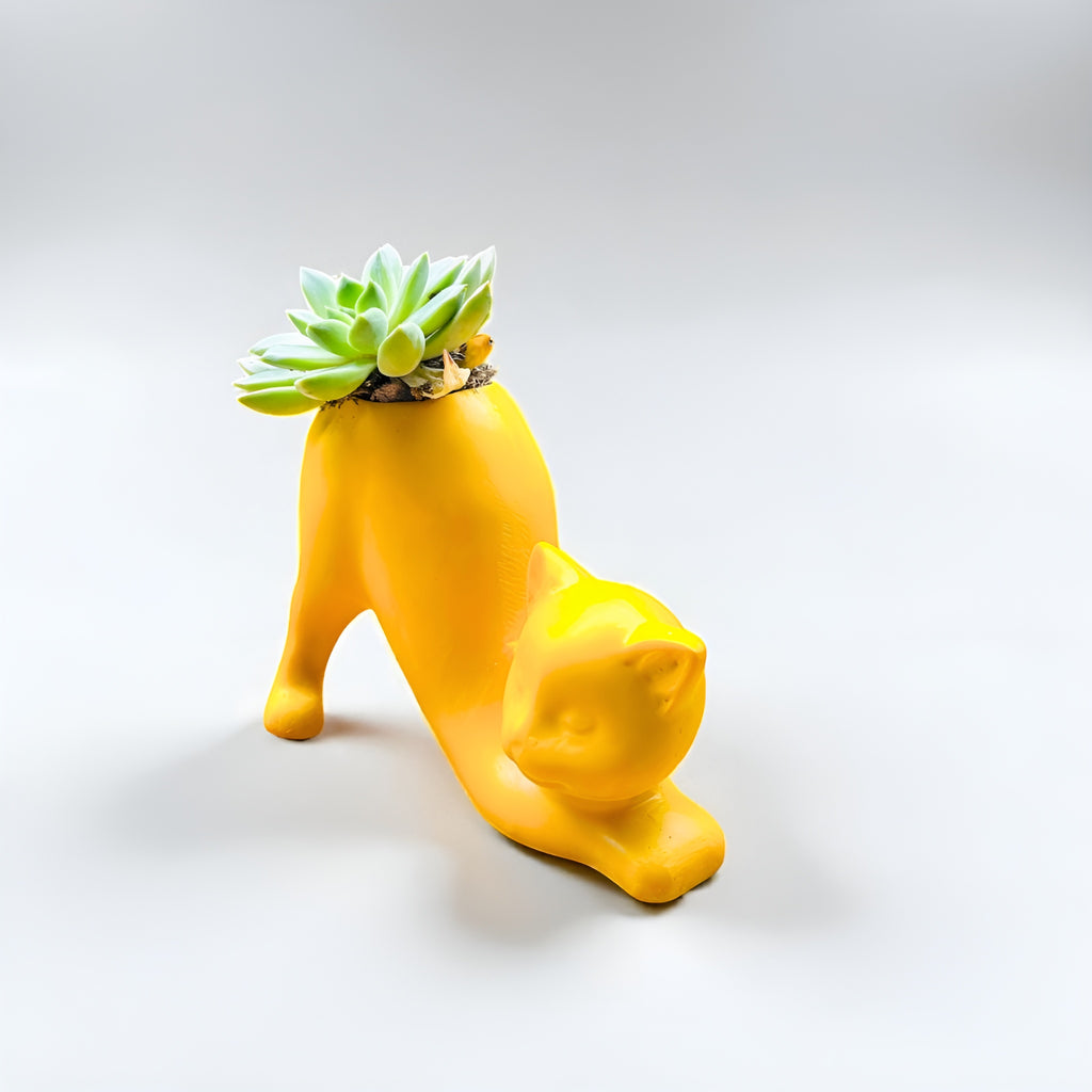 Purrfect Quirky Yellow Tail Cat Planter