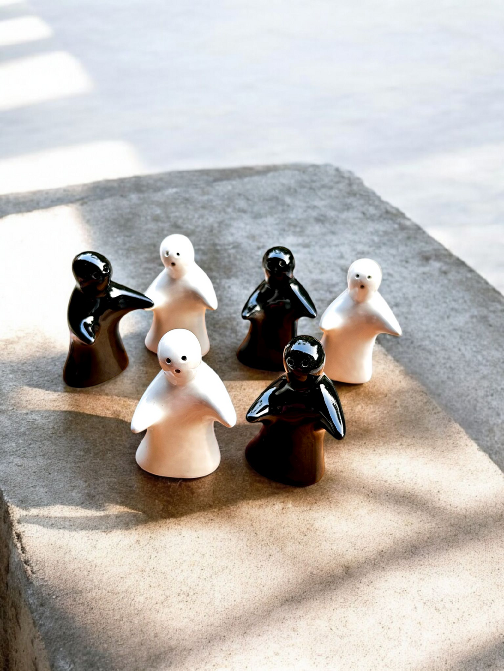 Monochrome Harmony Ceramic Salt & Pepper Shaker Set ⚫⚪