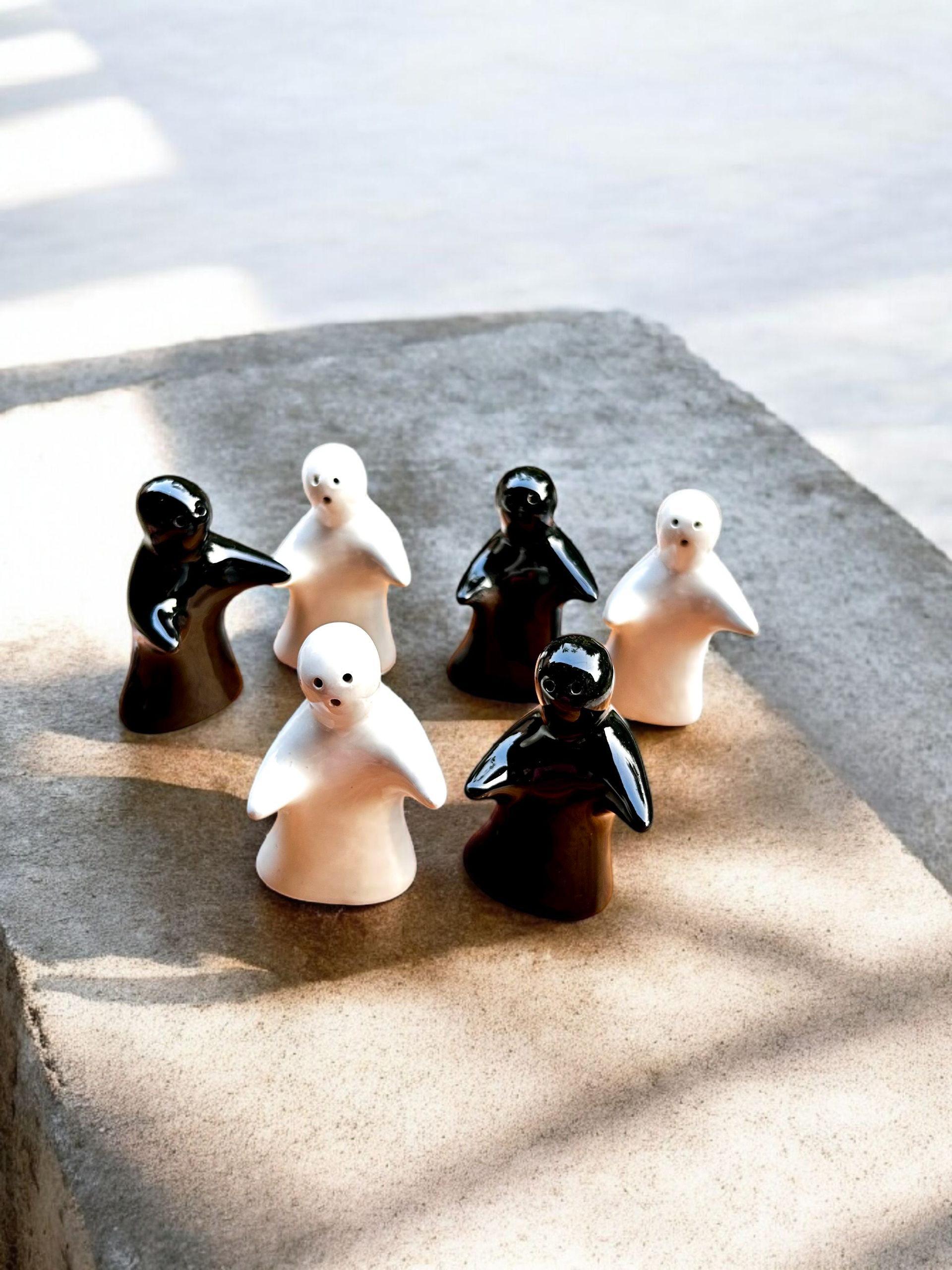 Monochrome Harmony Ceramic Salt & Pepper Shaker Set ⚫⚪