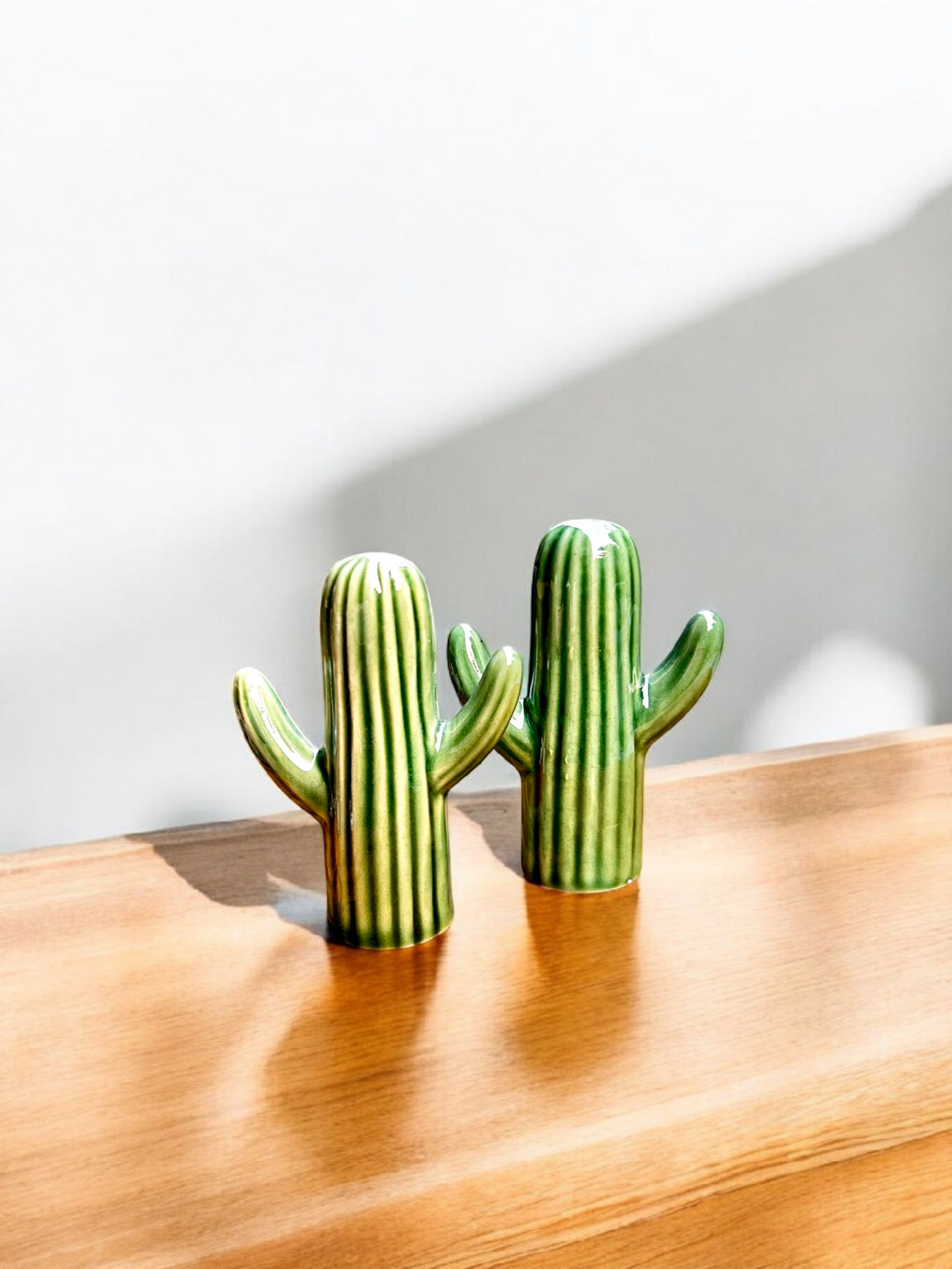 Cactus Charm Ceramic Salt & Pepper Shaker Set 🌵