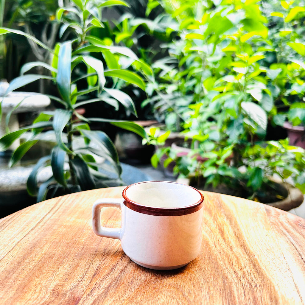 Rustic Brown Rim Coffee Espresso Shot Mugs