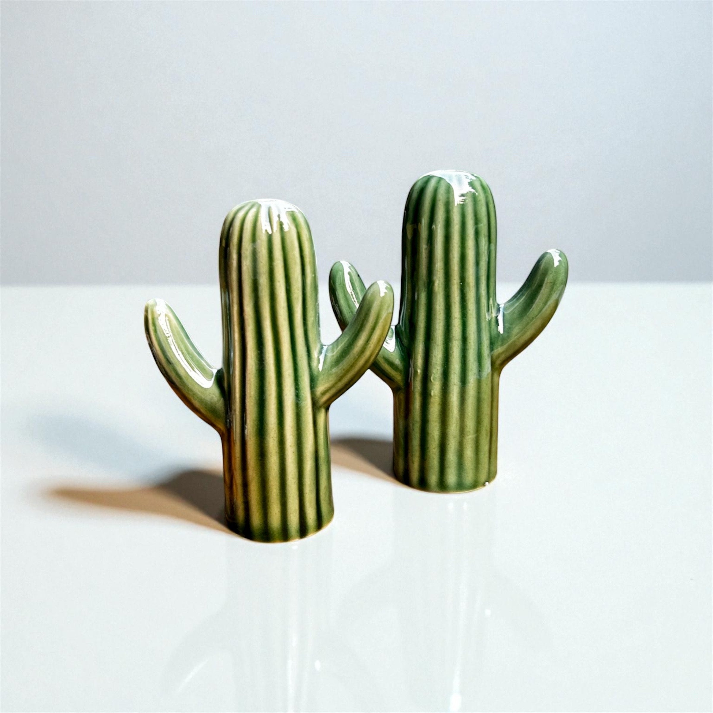 Cactus Charm Ceramic Salt & Pepper Shaker Set 🌵