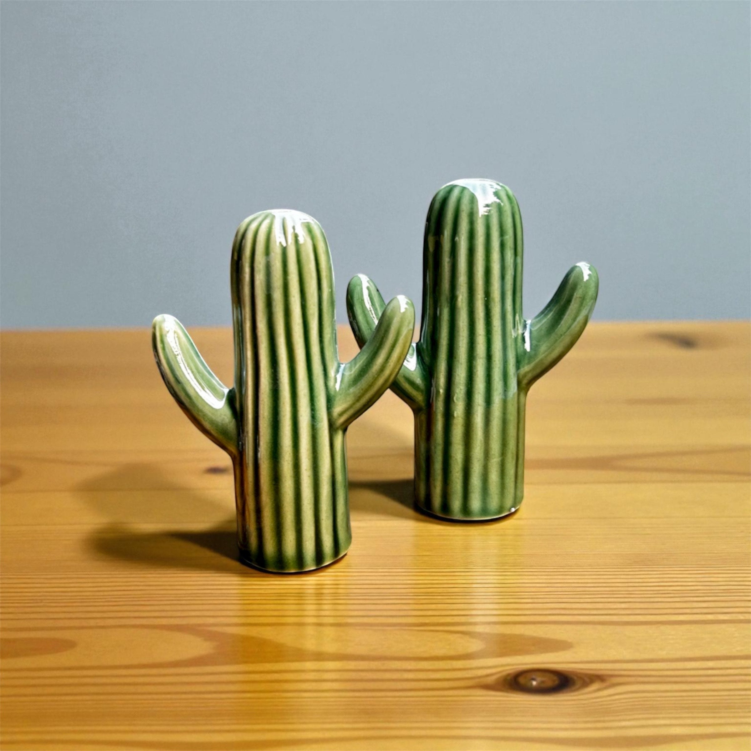Cactus Charm Ceramic Salt & Pepper Shaker Set 🌵
