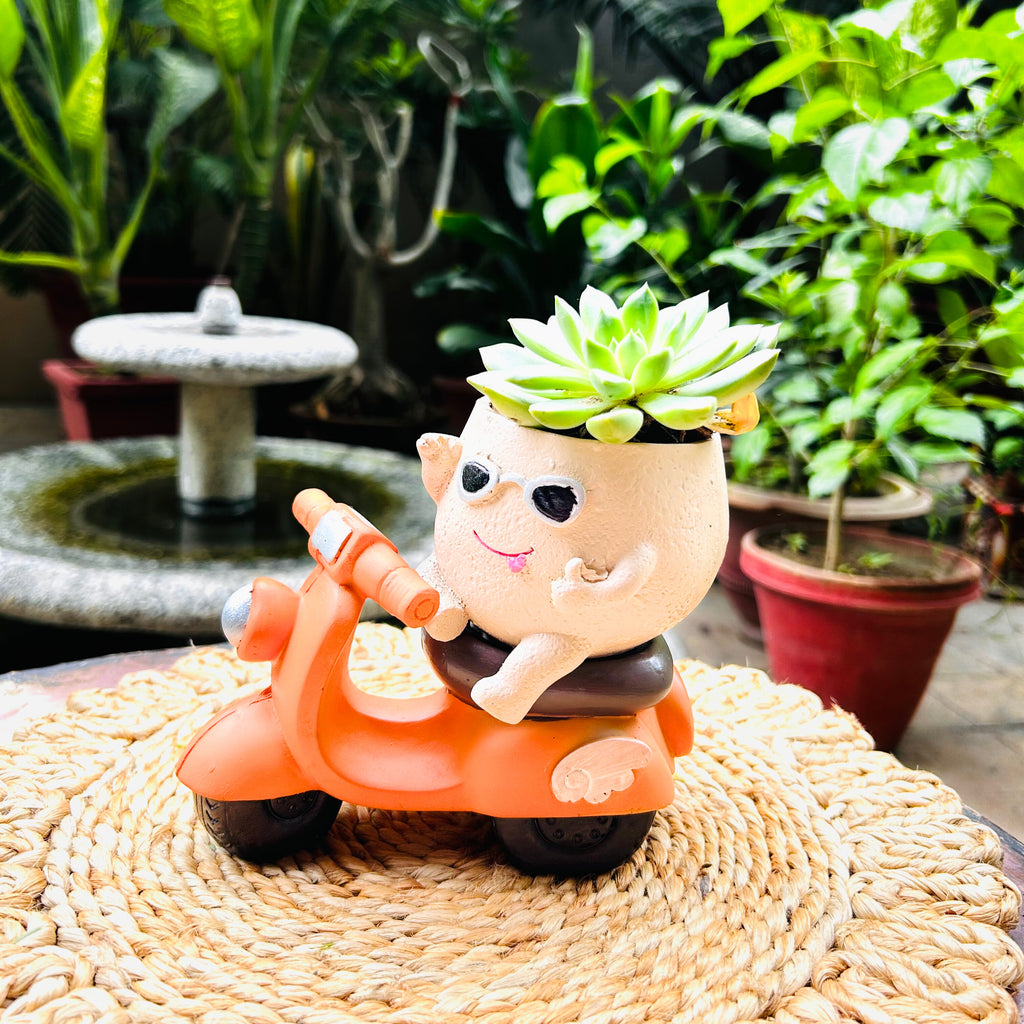 Quirky Scooter Buddy Planter
