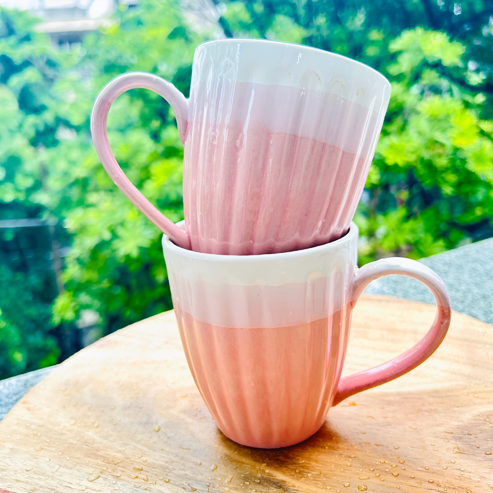 Blush Bloom Dual Tone Ceramic Mug- Set of 2